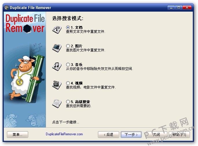 duplicate file remover