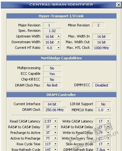 Central Brain Identifier