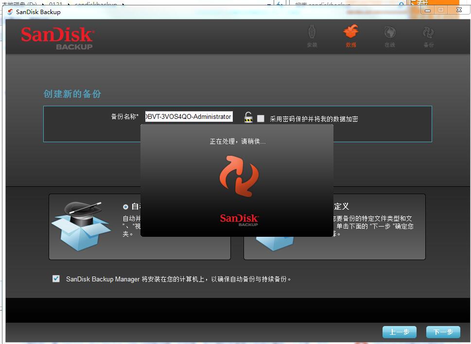 SanDisk Backup 
