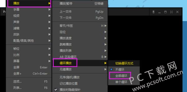 完美解码播放器