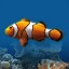 MarineAquarium3.3.6041电脑版图
