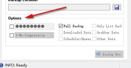 IDM Backup Manager(IDM备份管理软件) 1.0.0 绿色版