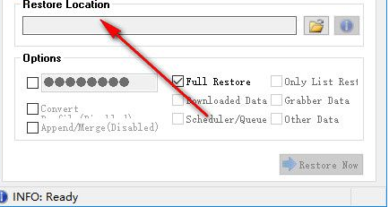 IDM Backup Manager(IDM备份管理软件) 1.0.0 绿色版