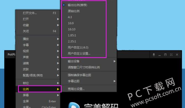 完美解码播放器
