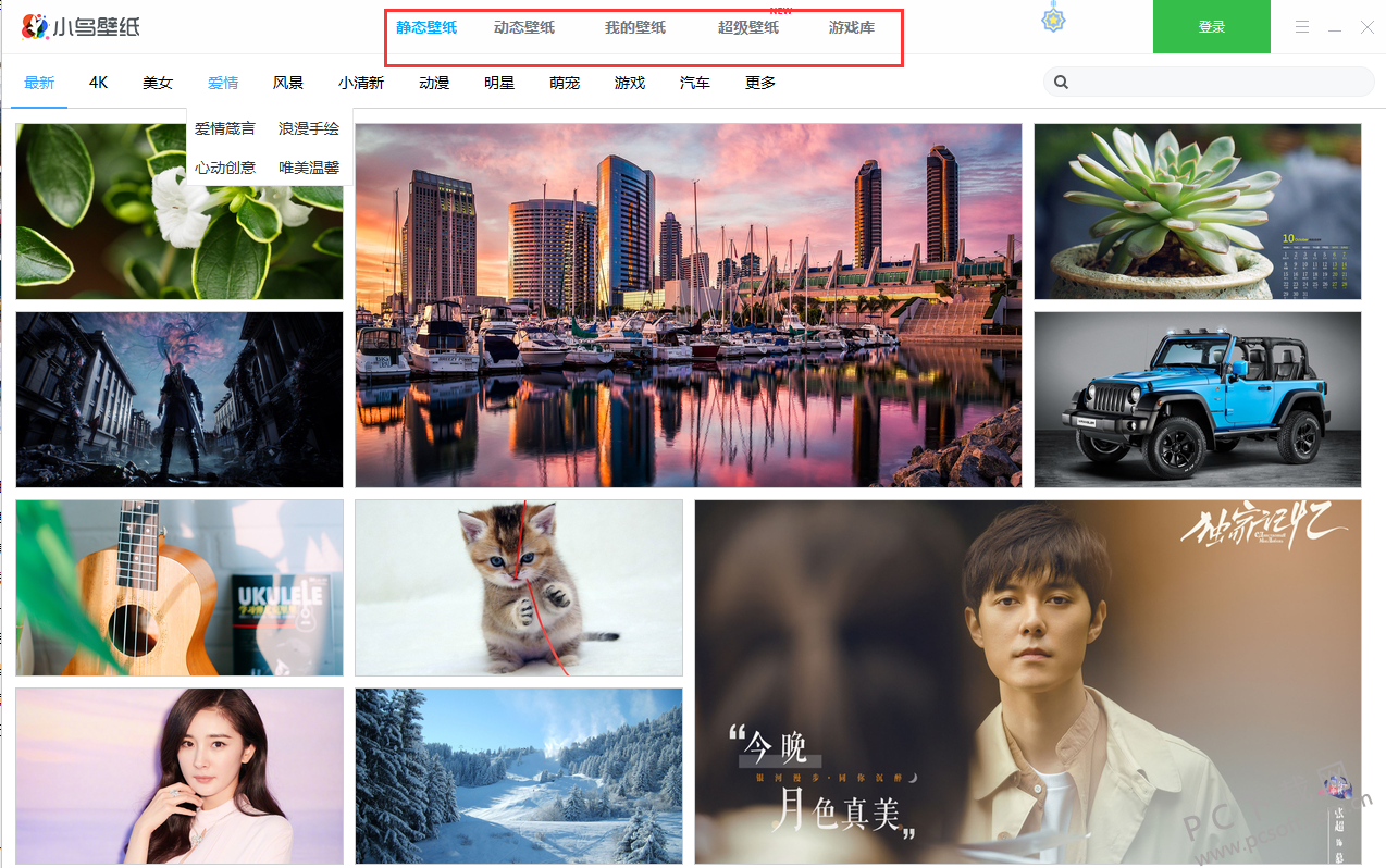 小鸟壁纸（原360壁纸）官方下载