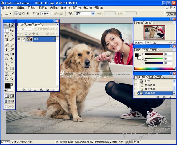 Photoshop