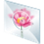 SoftOrbitsEasyPhotoUnblur10.2中文版图