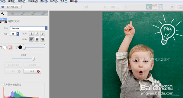 Google Picasa
