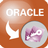 OracleToAccess(Oracle转Access工具)图