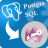PostgresToAccess(数据库转换工具图