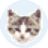 EFFileCatalog(文件管理工具)图