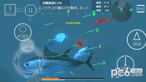 王牌海鲜