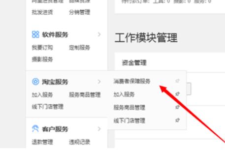 选择淘宝服务选项栏