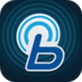 bluelink官方正版下载_现代bluelink安卓版v3.07