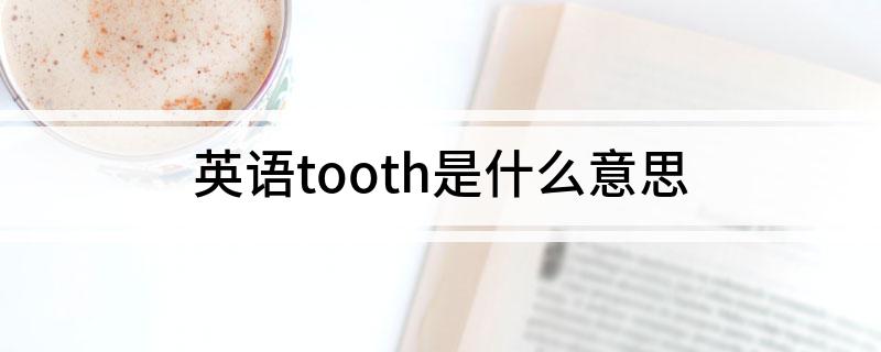 tooth是什么意思中文 英语tooth是什么意思