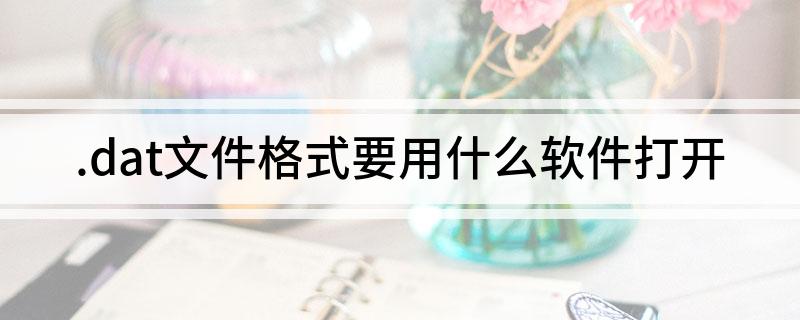 .dat文件格式要用什么软件打开