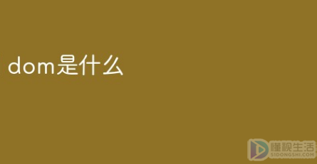 dom是什么意思啊