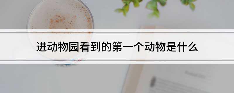 进动物园看到的第一个动物是什么
