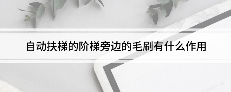 自动扶梯的阶梯旁边的毛刷有什么作用