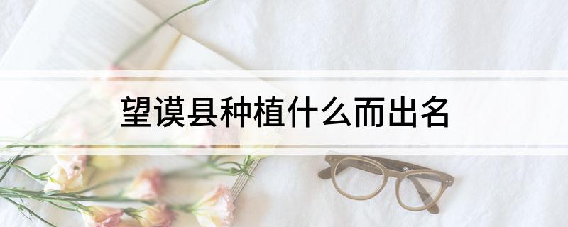 望谟县种植什么而出名