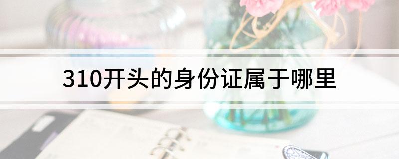 310开头的身份证 310开头的身份证属于哪里