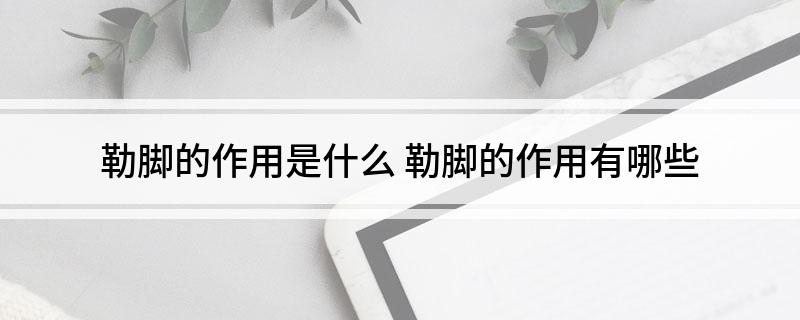 勒脚的作用是什么 勒脚的作用有哪些