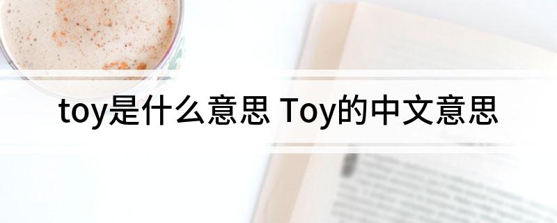 toy是什么意思 Toy的中文意思