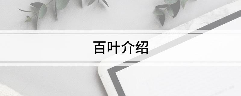 百叶介绍