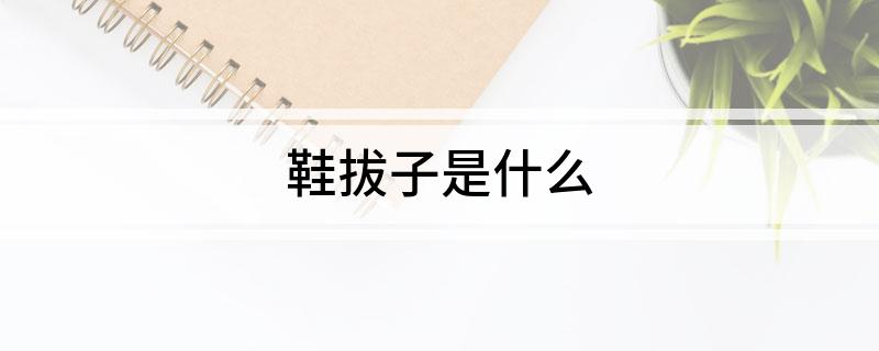 鞋拔子是什么