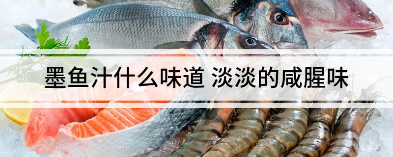 墨鱼汁什么味道 淡淡的咸腥味