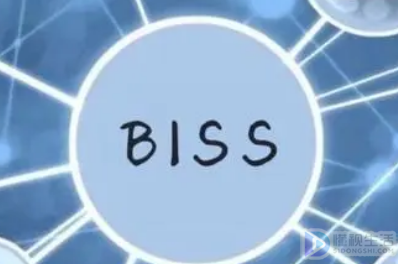 biss什么意思