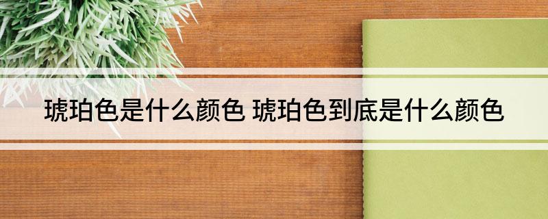 琥珀色是什么颜色 琥珀色到底是什么颜色