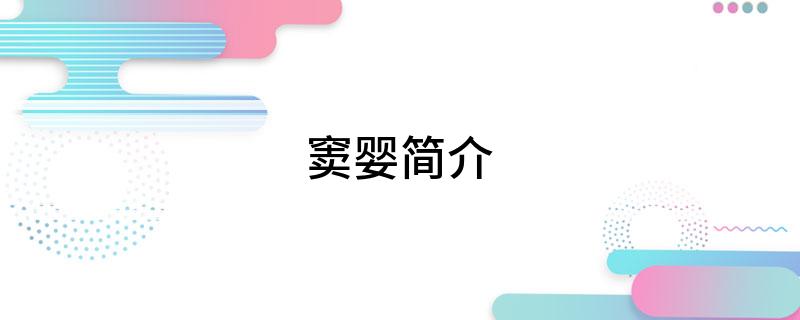 窦婴简介