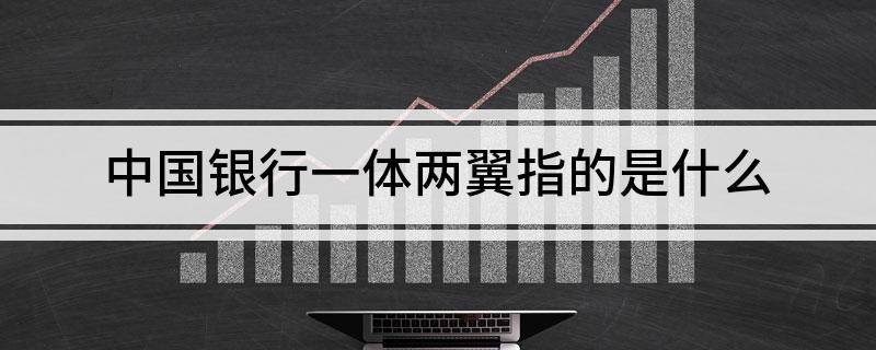 中国银行一体两翼指的是什么