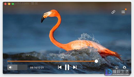 Elmedia Player播放F4V视频