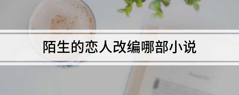 陌生的恋人改编哪部小说