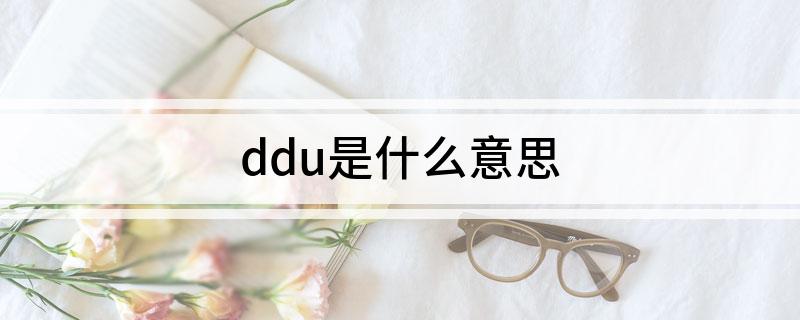 ddu是什么意思