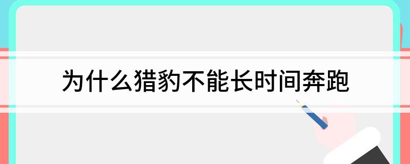 为什么猎豹不能长时间奔跑