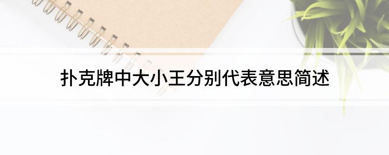 扑克牌中大小王分别代表意思简述
