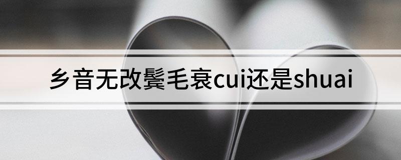 乡音无改鬓毛衰cui还是shuai