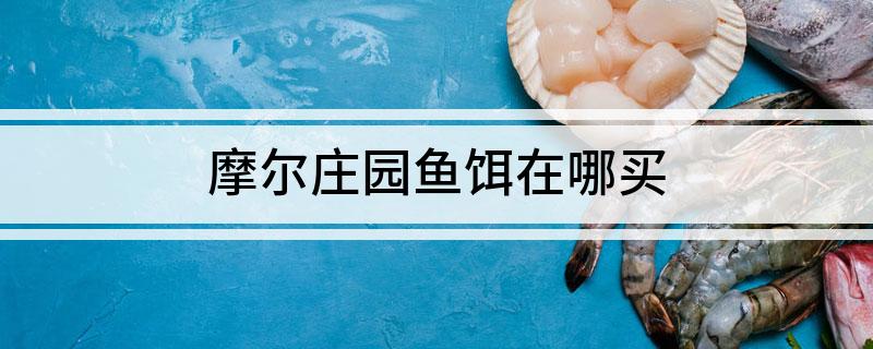 摩尔庄园鱼饵在哪买 摩尔庄园鱼饵购买方法介绍