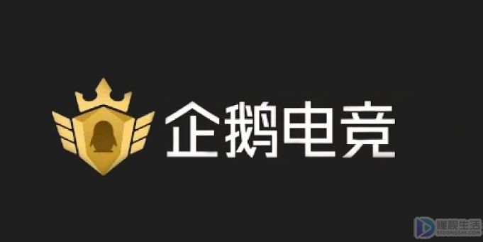 主播沫子在哪个平台直播