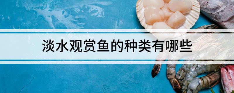 淡水观赏鱼的种类有哪些