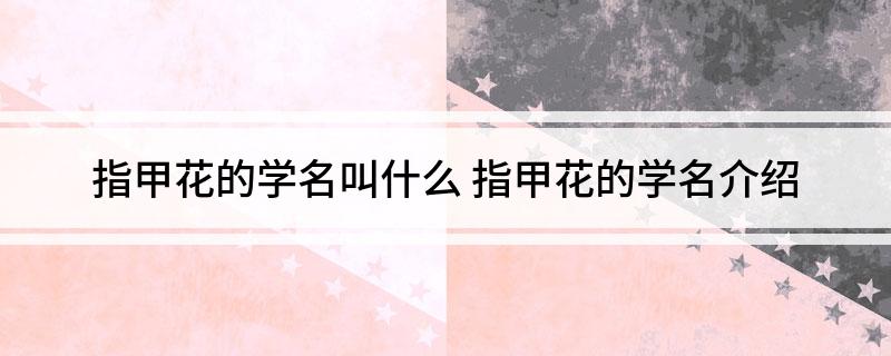 指甲花的学名叫什么 指甲花的学名介绍