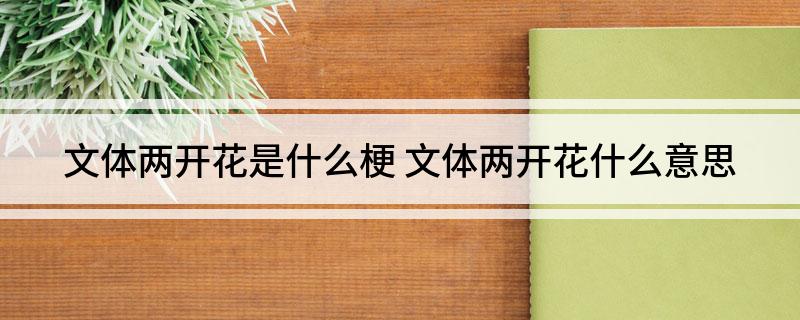 文体两开花是什么梗 文体两开花什么意思