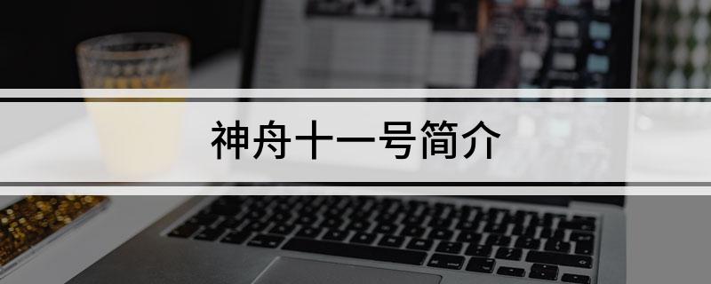 神舟十一号简介