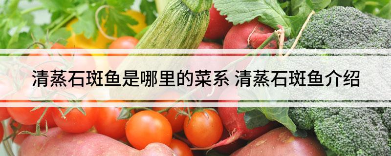 清蒸石斑鱼是哪里的菜系 清蒸石斑鱼介绍