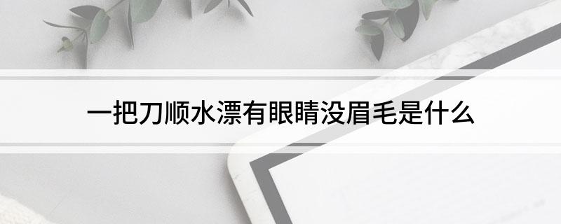 一把刀顺水漂有眼睛没眉毛是什么