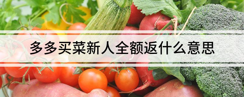 多多买菜新人全额返什么意思