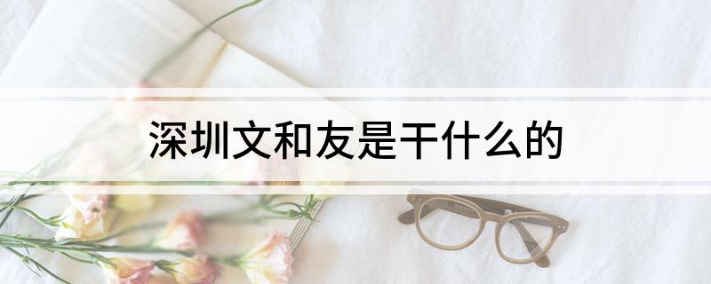 深圳文和友是干什么的